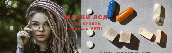 ECSTASY Кукмор