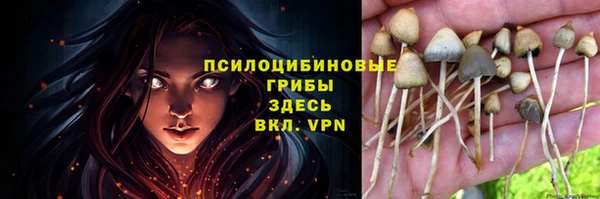 гашишное масло Краснослободск
