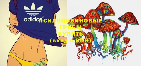 apvp Кулебаки