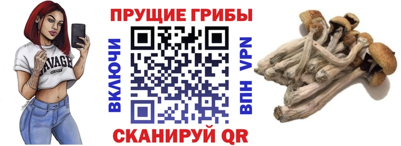 Псилоцибиновые грибы мухоморы Пласт